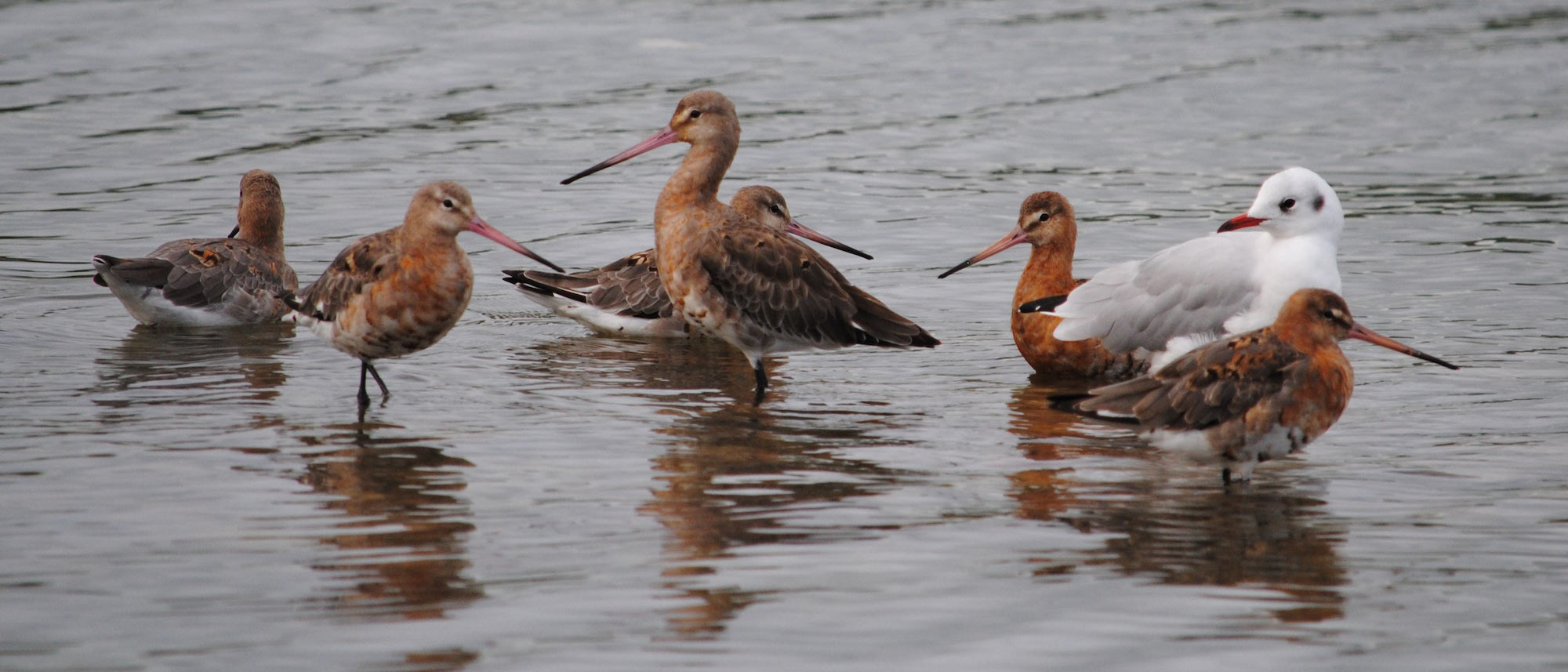Clonakilty camera club