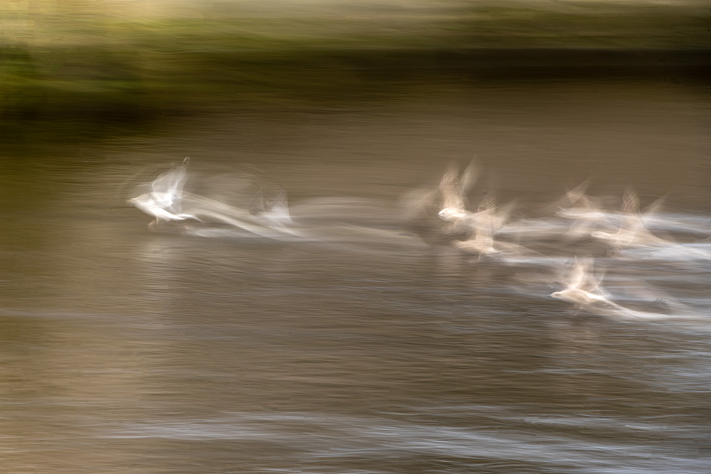 Photography by Cathleen Crowley