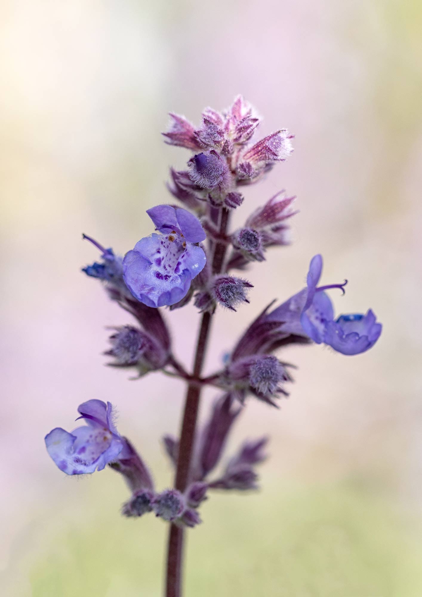 Photography by Kathleen Hayes