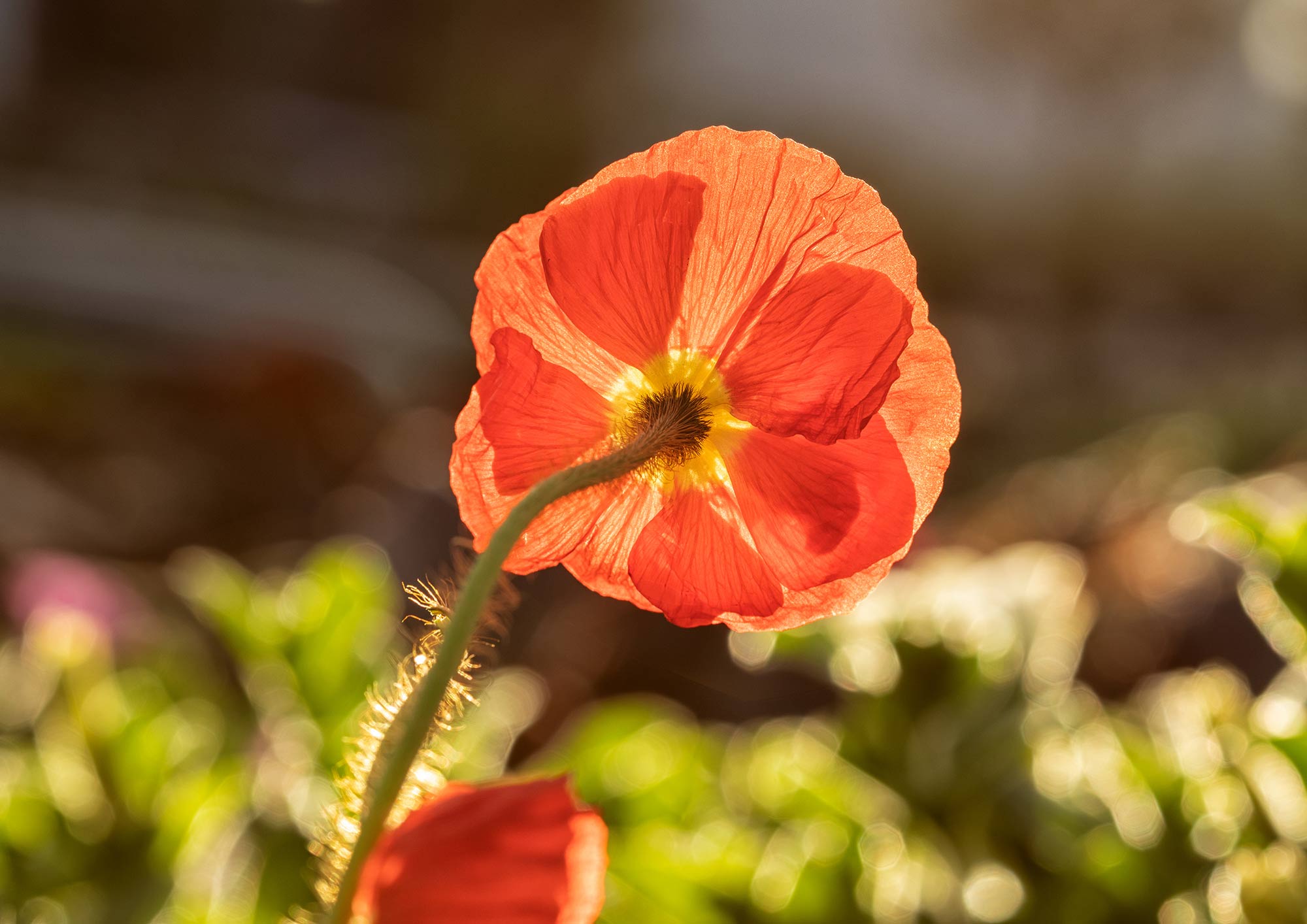 Photography by Kathleen Hayes