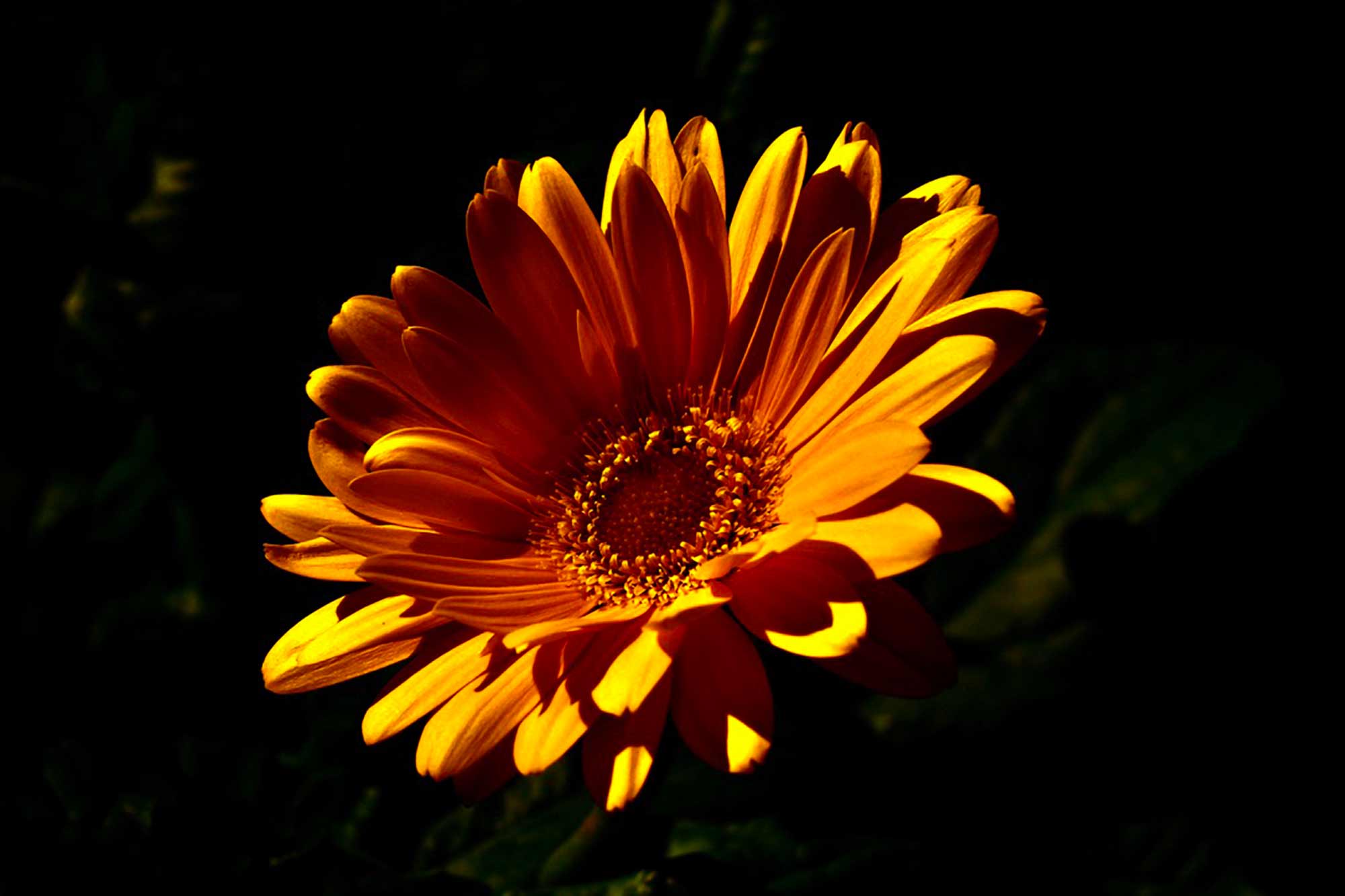 Photography by Kevin MacGowan