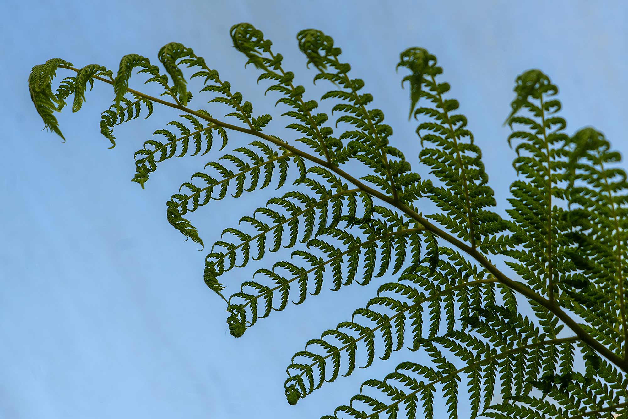 Photography by Cathleen Crowley