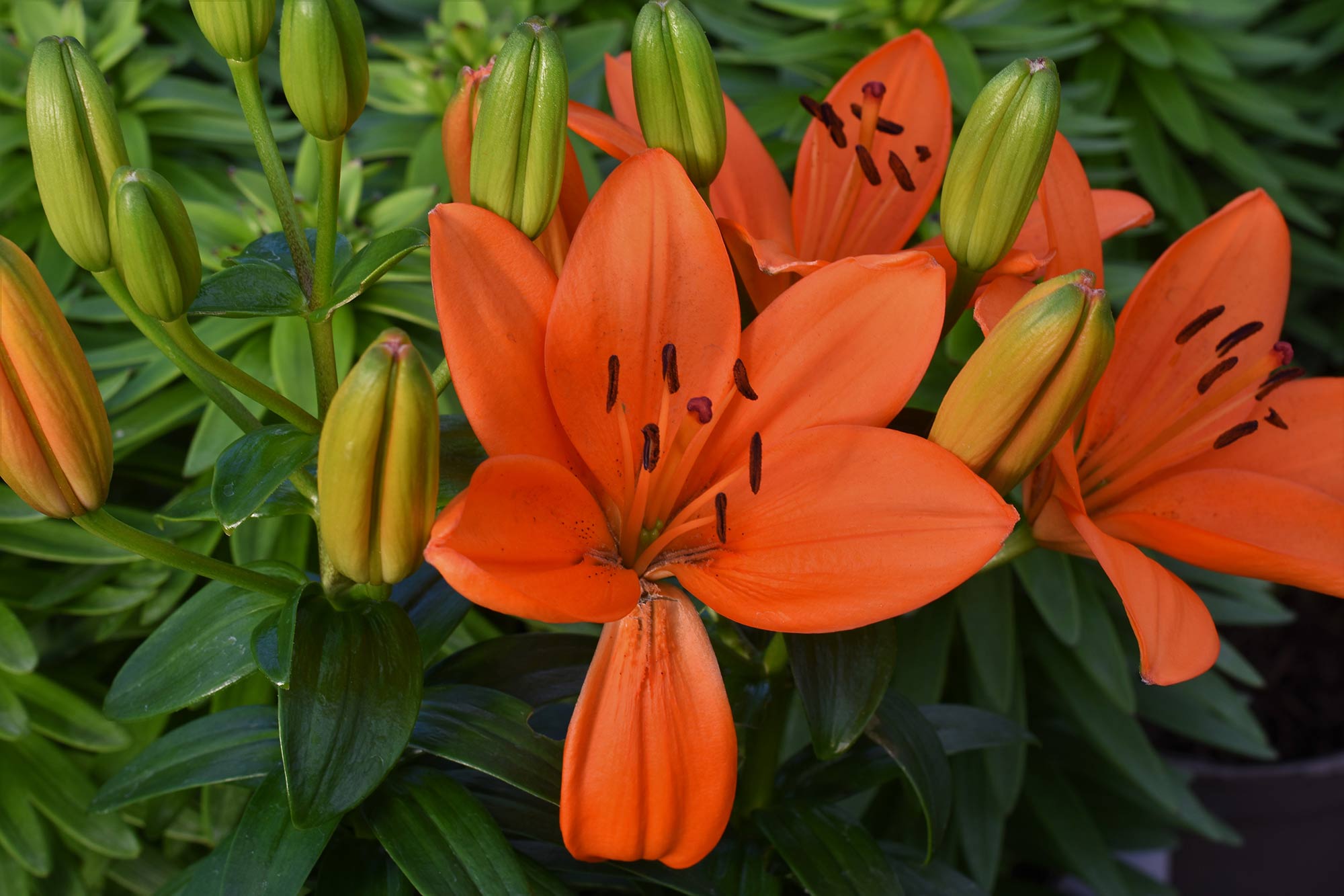 Photography by George Bradfield