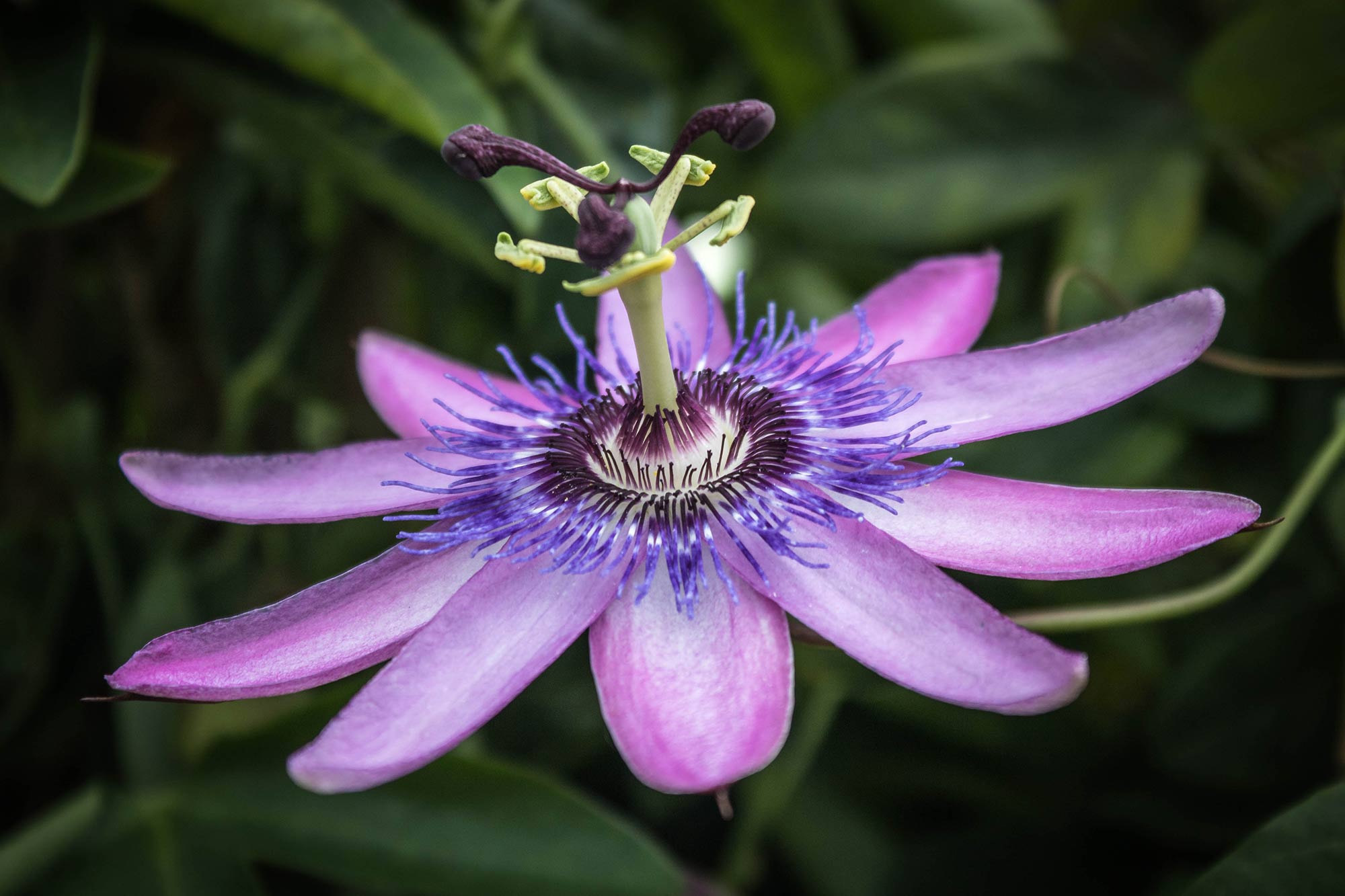 Photography by Larry O'Brien