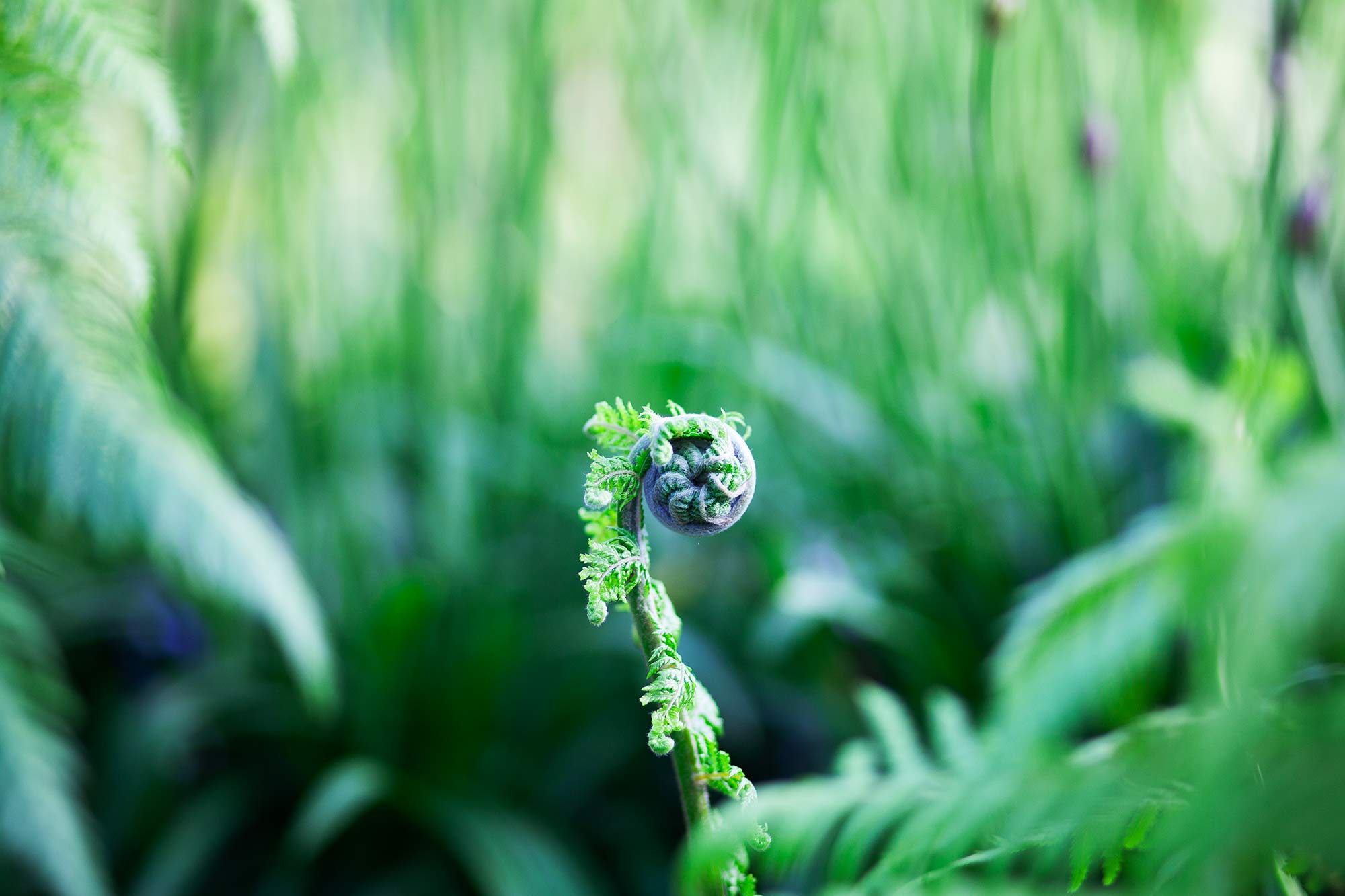 Photography by Melanie Black