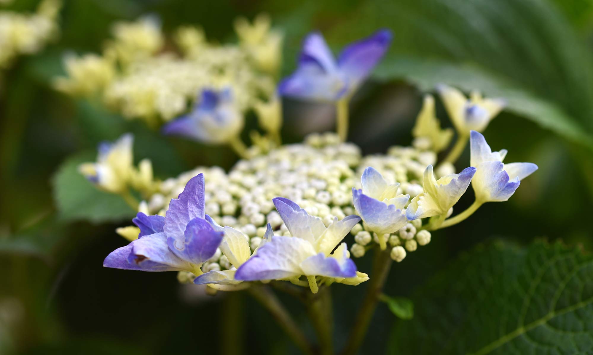 Photography by Noreen Brazier