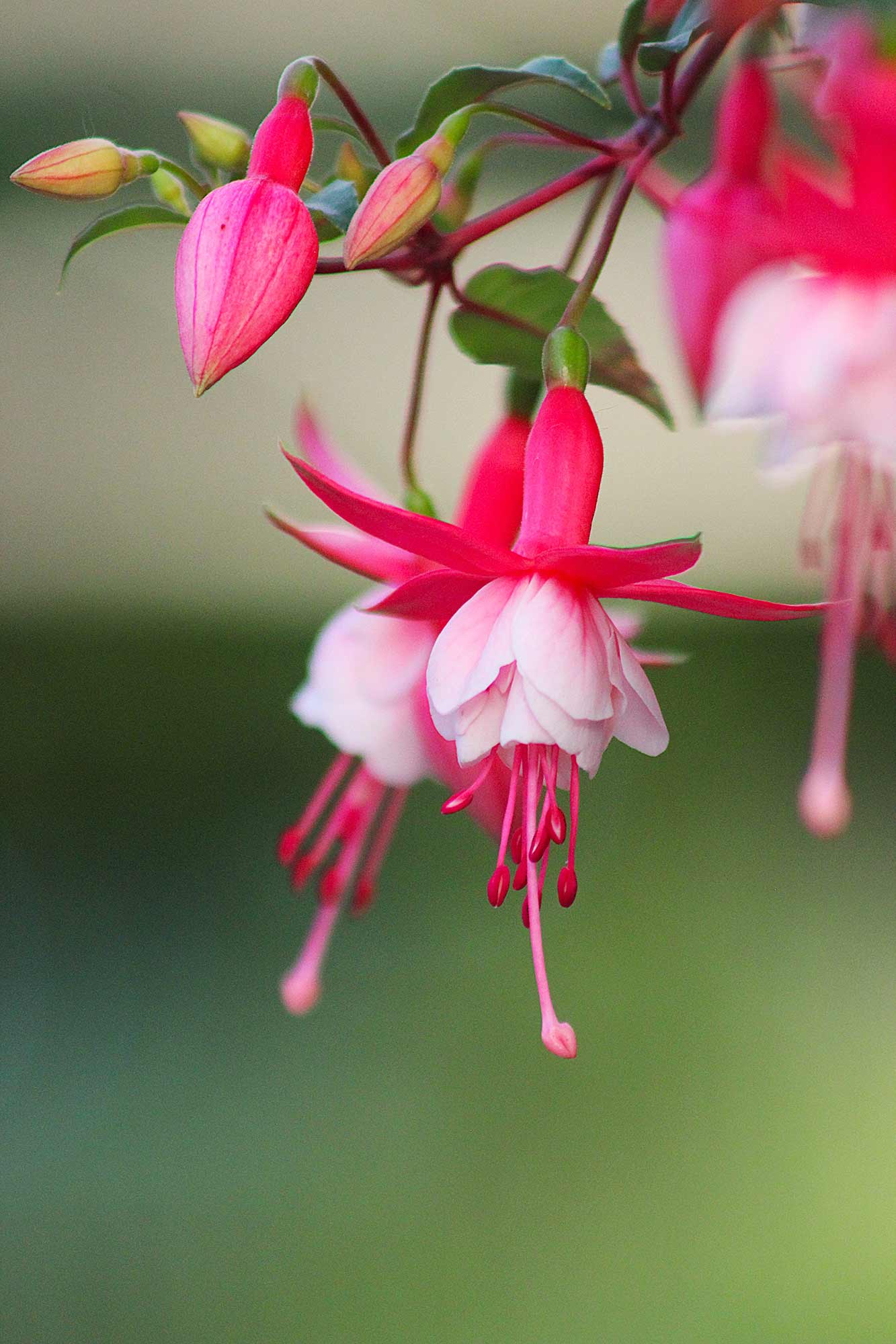 Photography by Nadine Carroll