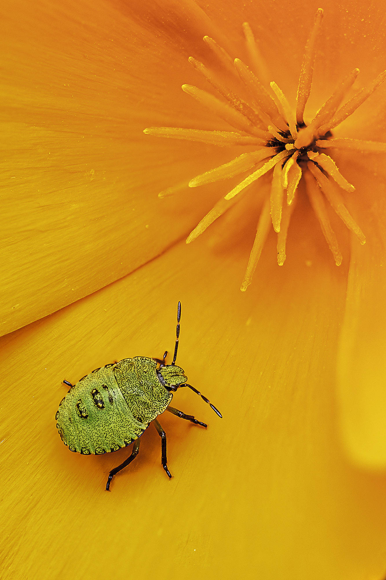 Photo of the year by Eamonn McCarthy